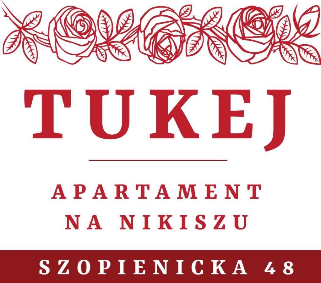 Appartamento Tukej Apartament Na Nikiszu Katowice Esterno foto